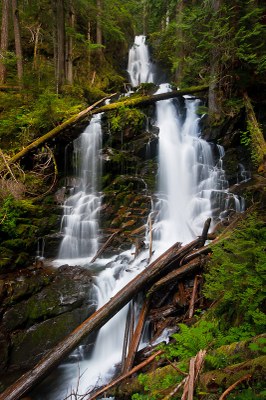 CHS 2 Hike - Green Lake (Mount Rainier)