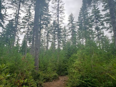 CHS 2 Hike - Green Mountain: Wildcat Trail