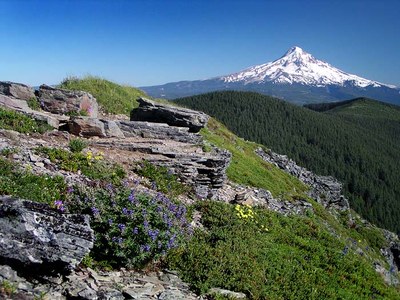 CHS 2 Hike - Hamilton Mountain & Beacon Rock