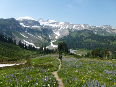 CHS 2 Hike - Indian Bar-Cowlitz Divide
