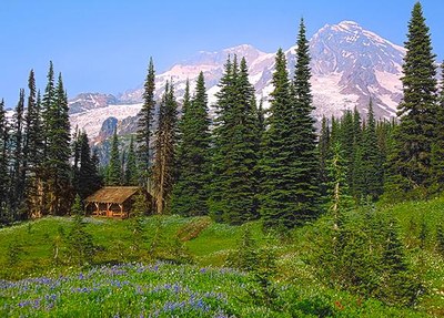 CHS 2 Hike - Indian Henry's Hunting Ground