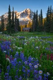 CHS 2 Hike - Indian Henry's Hunting Ground