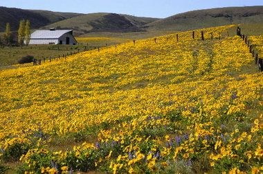 CHS 2 Hike - Lyle Cherry Orchard