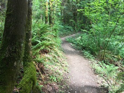 CHS 2 Hike - Margaret's Way