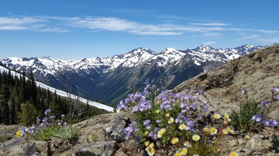 CHS 2 Hike - Marmot Pass & Buckhorn Mountain