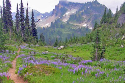 CHS 2 Hike - Pacific Crest Trail: White Pass to Chinook Pass