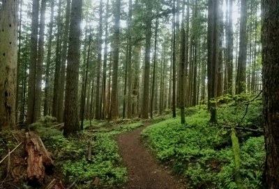 CHS 2 Hike - Rattlesnake Mountain Grand Traverse