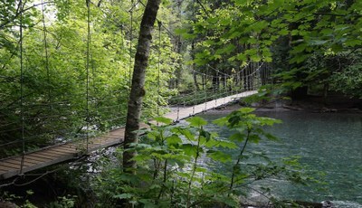 CHS - Mt. Rainier Campout - Ohanapecosh Campground