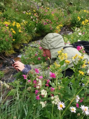 Field Trip 4 - Seattle Naturalists Intro Natural World Course - Berkeley Park (Mount Rainier)