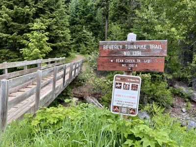 Field Trip 3 - Seattle Naturalists Intro Natural World Course - Bean Creek Basin