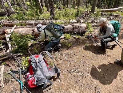 Field Trip 3 - Seattle Naturalists Intro Natural World Course - DeRoux Creek