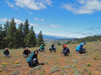 Field Trip 3 - Seattle Naturalists Intro Natural World Course - Table Mountain/Lion Rock