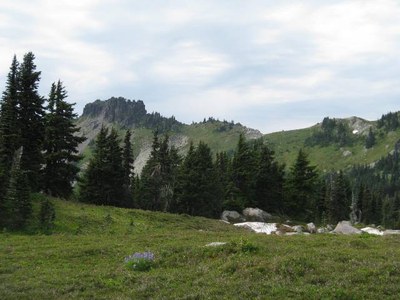 Lecture 1 - Seattle Naturalists Intro Natural World Course
