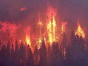 Naturalist Lecture Series - 2016: Eastern Washington Wildfires