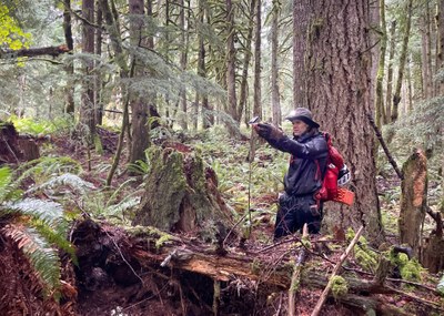 Bushwhacking Navigation - Heybrook Ridge From Lewis Creek Road