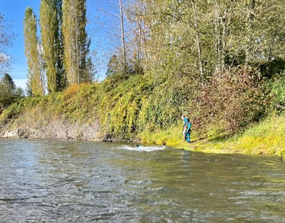 Basic Whitewater Packrafting Course - Field Trip #1