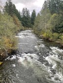 Basic Whitewater Packrafting Course - River Lecture #1