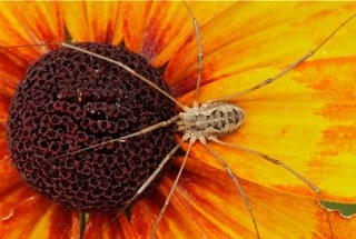 Introduction to Close-up and Macro Photography - Seattle - 2020