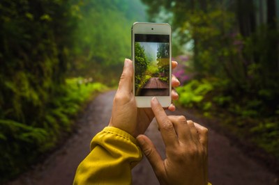 Phone It In Workshop & Photo Walk - How to Become a Better Photographer by Using Your Phone Camera 2019