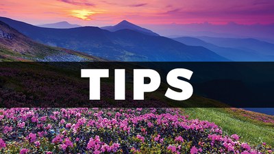 TIPS Class - ProShow Gold (9am)