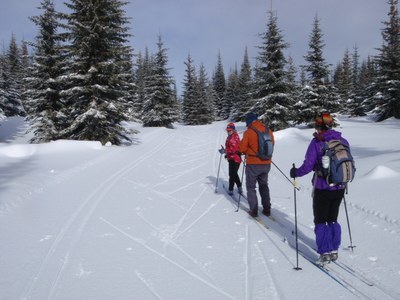 Intro to XC (Classic) Skiing clinic