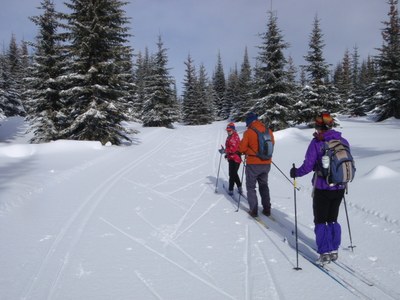 Intro to Cross Country Skiing AM
