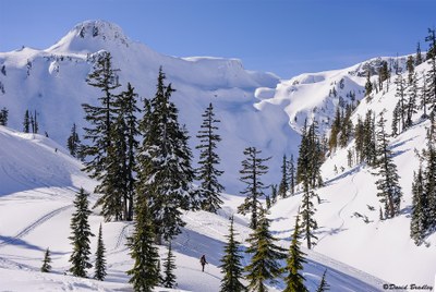 Basic Snowshoeing Course   - Seattle - 2015