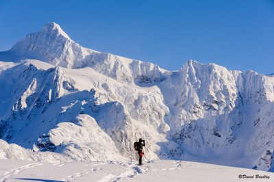 Backcountry Snowshoeing Skills Course   - Seattle - 2015