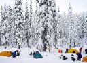 Winter Camping Course - Seattle - 2026