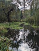 December GoWalk!  Urban Walks: 2 to 5 miles, 200 to 450 feet of elevation gain - West Seattle Loop