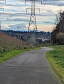 February GoWalk!  L4 Urban Walks: 3 to 7 miles, 400 to 750 feet of elevation gain - Chief Sealth Trail
