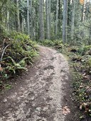 February GoWalk!  L4 Urban Walks: 3 to 7 miles, 400 to 750 feet of elevation gain - Redmond Watershed Preserve