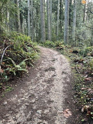 February GoWalk!  L4 Urban Walks: 3 to 7 miles, 400 to 750 feet of elevation gain - Redmond Watershed Preserve