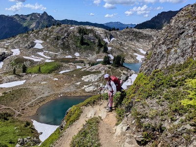 Seattle Explorers Backpack - Yellow Aster Butte