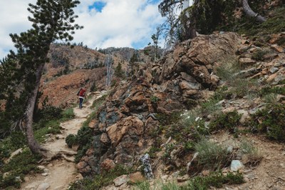 Seattle Junior MAC Hike - Navaho Pass & Peak