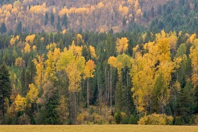 Activity - Mountaineers Seattle Program Center