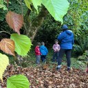 Activity - Hyak Lake, Nordic Pass, Windy Pass & Mount Catherine