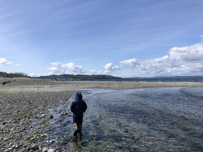 Field Trip - Discovery Park