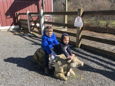 Field Trip - Kelsey Creek Park