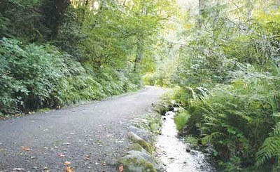 Field Trip - Ravenna Park