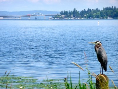 Field Trip - Seward Park