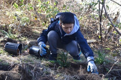 Aki Kurose Special Education - Environmental Restoration - Discovery Park