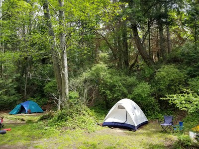 Rock the Park - Camping