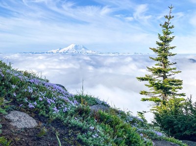 Seattle MAC Conditioning Hike - Bandera Mountain