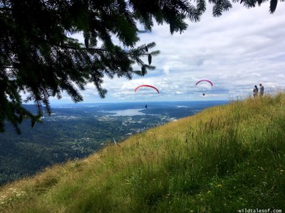 Seattle MAC Conditioning Hike - Poo Poo Point