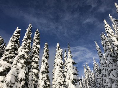 Seattle Pathfinders Holiday Party