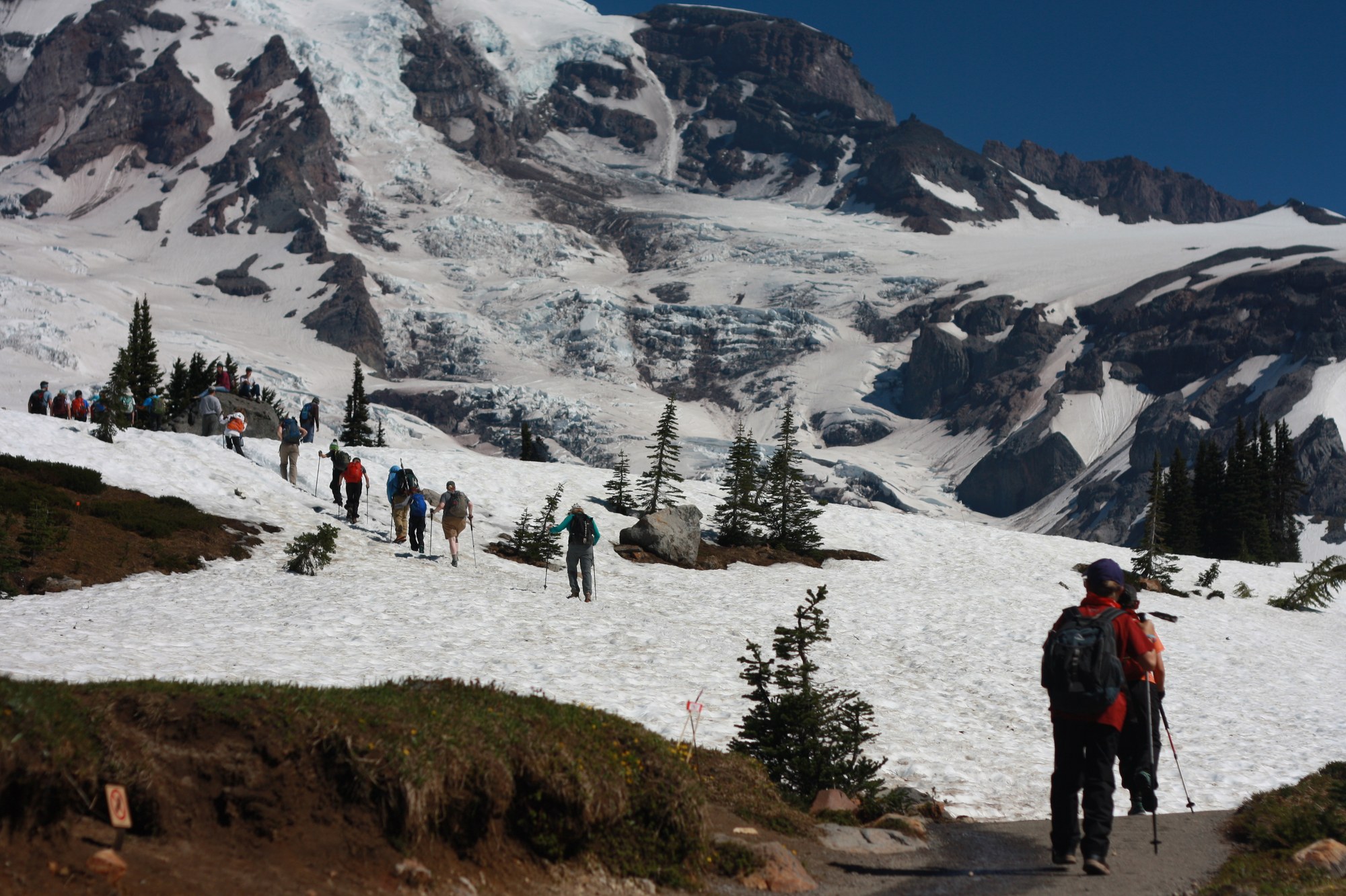 Summer Camp - Mount Rainier - 2020 — The Mountaineers