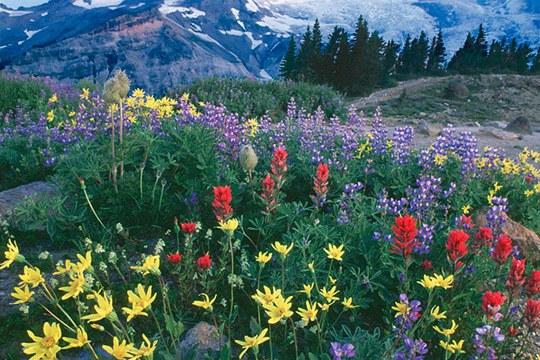 Sunny Walter (15).jpg