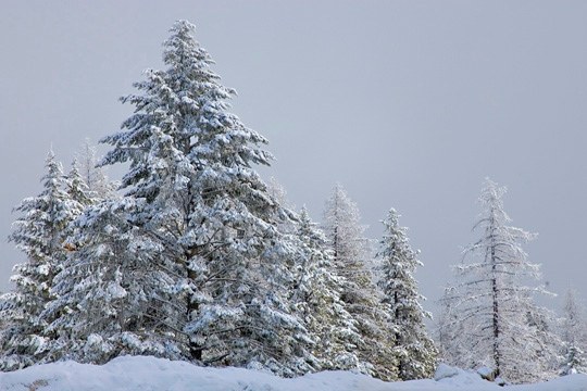 Sunny Walter (4).jpg