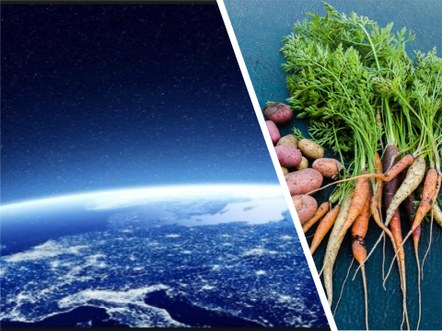 Webinar: Reduce Your Carbon Footprint, Saving the World One Bite at a Time